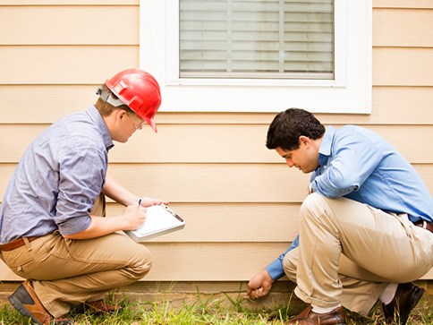 Termite inspection